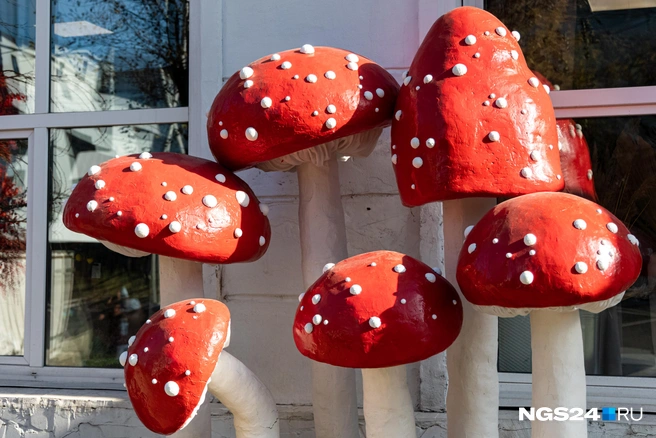 И все это сделано вручную  | Источник: Мария Ленц / NGS24.RU 