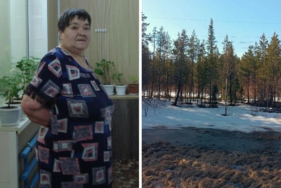 Поиски пропавшей в Оленегорске пенсионерки продолжаются