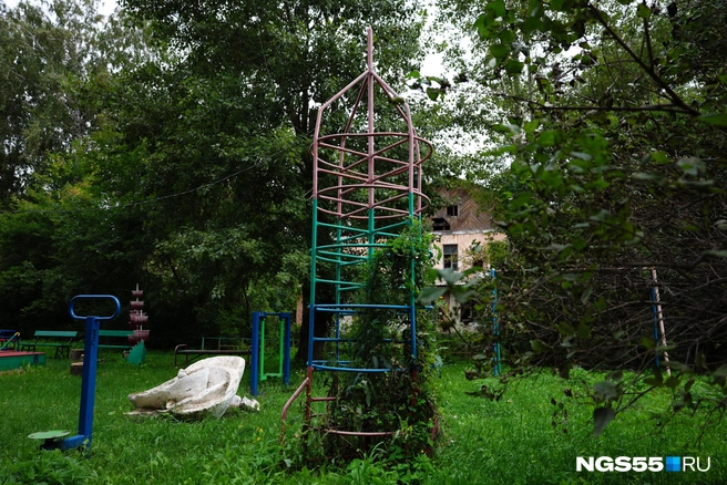 Ракета зарастает вьюном | Источник: Евгений Софийчук / NGS55.RU