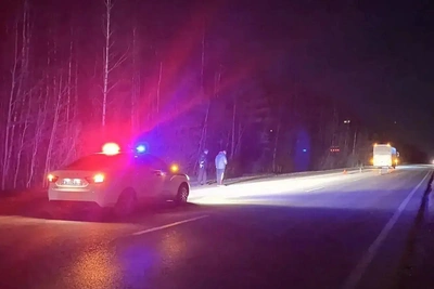 Автобус сбил насмерть пешехода под Верхней Пышмой
