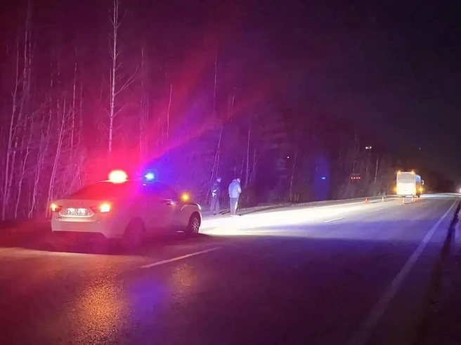 В ГИБДД уточнили, что пешеход был в одежде темного цвета без световозвращающих элементов | Источник: Госавтоинспекция по Свердловской области