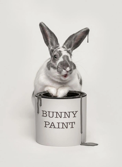 Источник: Katie Brockman / Pet Photography Awards&nbsp;— 2025