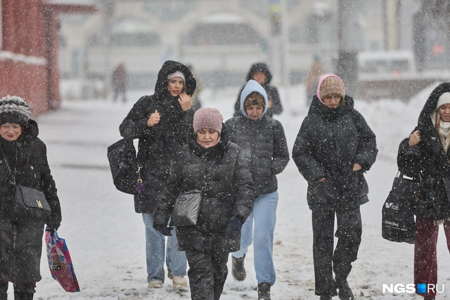 Помимо снегопада в городе еще и сильный холодный ветер  | Источник: Александр Ощепков / NGS.RU