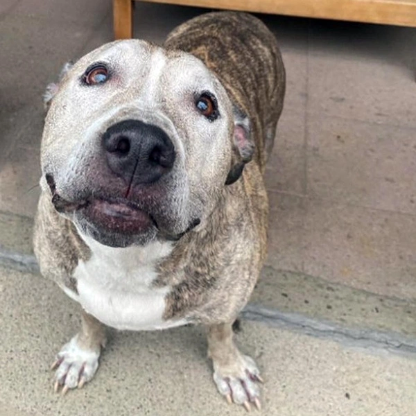 Источник: соцсети