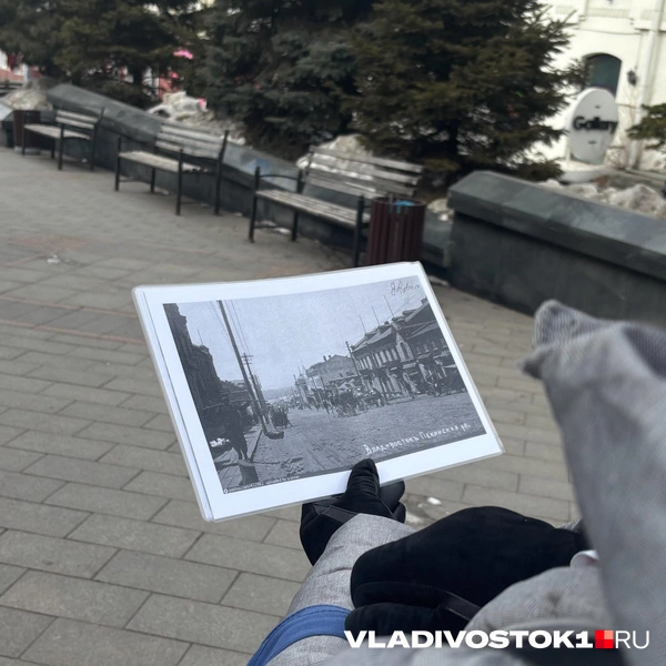 Источник: Елена Буйвол / VLADIVOSTOK1.RU