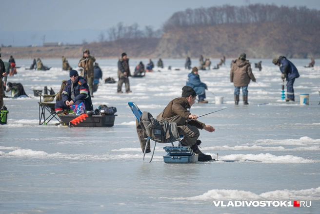 Источник: Елена Буйвол / VLADIVOSTOK1.RU