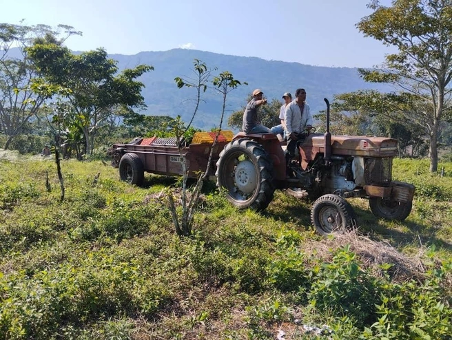 «Вот на тот край плантации» | Источник: Личный архив П. Стаброва