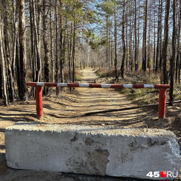 Источник: Кирилл Митин