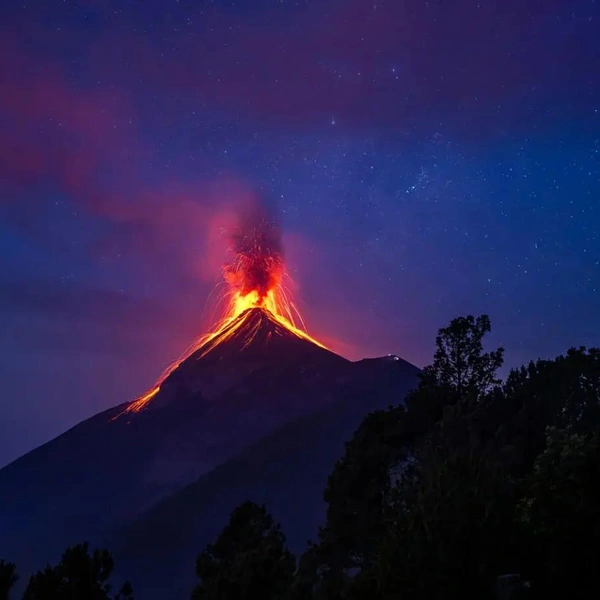 Победитель в номинации «Ночной мир» | Источник: Francisco Cortes Arias / The Nature Photography Contest