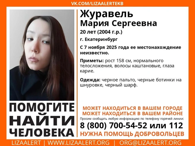 Источник: «ЛизаАлерт»