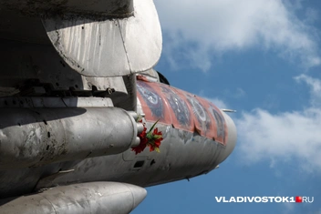 Источник: Елена Буйвол / VLADIVOSTOK1.RU