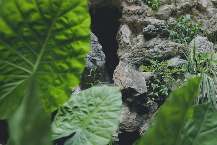 Источник: Unsplash