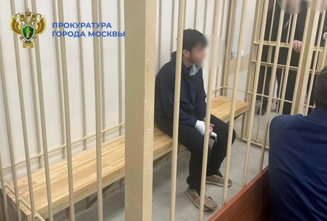 В Москве арестовали подростка по делу о нападении с ножом на полицейских и охрану торгового центра | Источник: Прокуратура Москвы