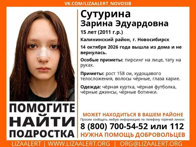 Источник: vk.ru/lizaalert_novosib