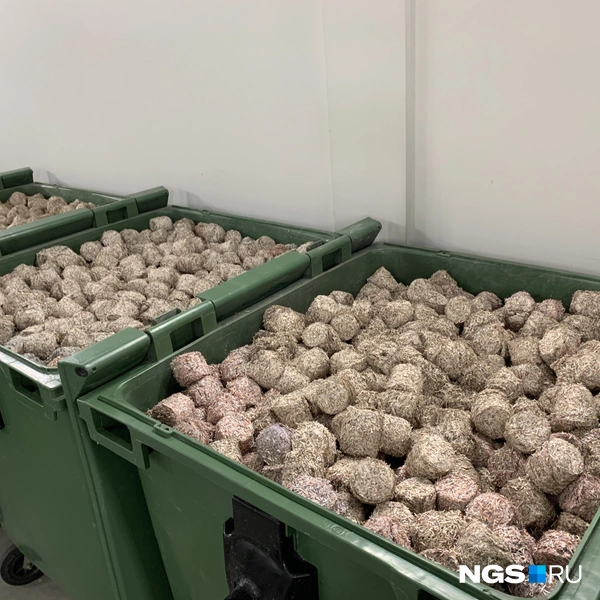 Конечный продукт утилизации налички&nbsp;— брикеты | Источник: Антон Дигаев / NGS.RU