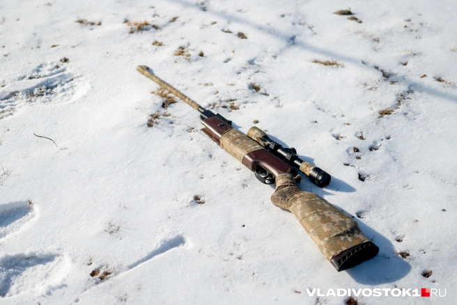 Новосибирец написал заявление в полицию | Источник: Елена Буйвол / VLADIVOSTOK1.RU