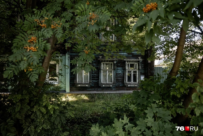 Дом скрывается за деревьями рябины | Источник: Александр Куренной / 76.RU