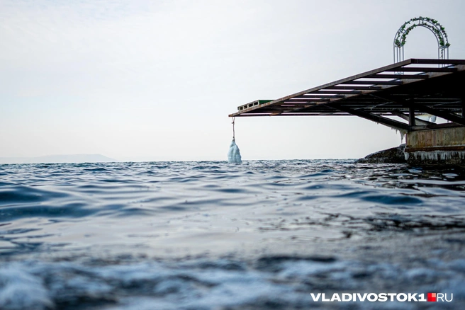 Источник: Елена Буйвол / VLADIVOSTOK1.RU