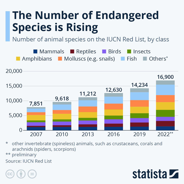 Гонка на вымирание: как меняется доля видов позвоночных, которым грозит исчезновение