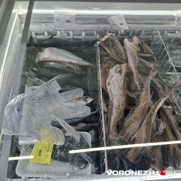 Источник: Алёна Воропаева / Voronezh1.ru