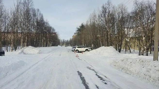 Источник: Госавтоинспекция МО 51 / T.me