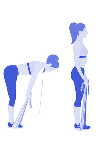 Становая тягаУпор на спину и заднюю поверхность бедра. Встаньте на эспандер, ноги на ширине плеч, в каждой руке – по концу ленты. Эспандер должен быть туго натянут. Наклонитесь вперед (ноги и спина прямые!), пока ваша грудь не будет параллельна полу. Разогнитесь и примите исходное положение.