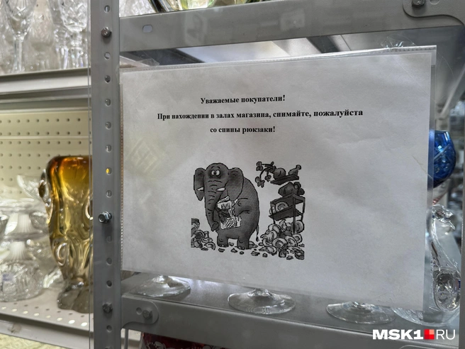 Не будьте слоном в посудной лавке | Источник: Анастасия Харитонова / MSK1.RU
