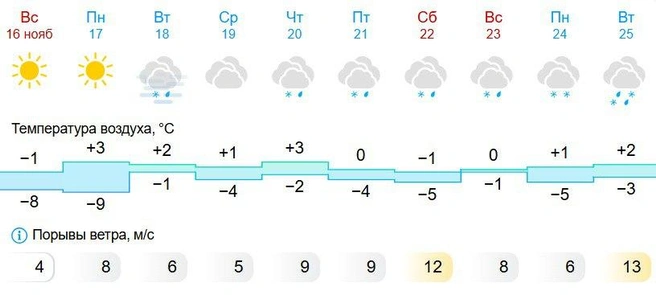 Прогноз от сайта gismeteo выглядит довольно нестабильным | Источник: Gismeteo 