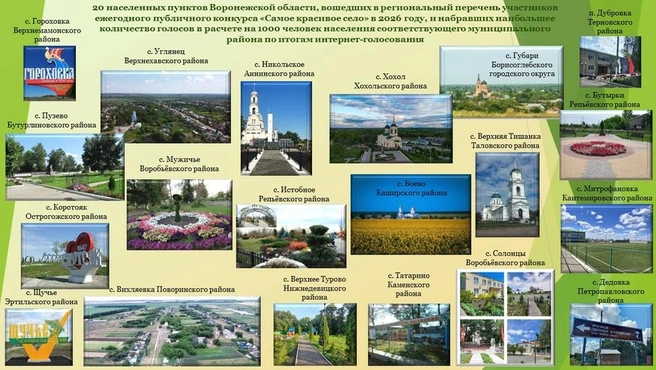 Источник: правительство Воронежской области / govvrn.ru