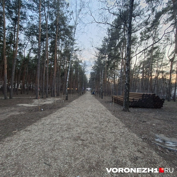 Источник: Алёна Воропаева / Voronezh1.ru