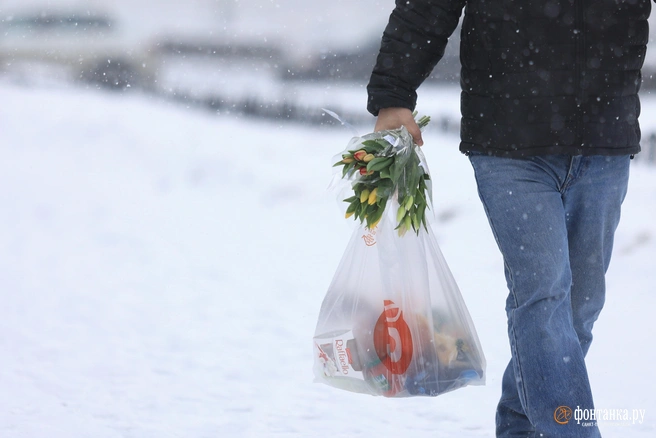 Экономист уверена: продукты подорожают к Новому году довольно сильно | Источник: Сергей Михайличенко / FONTANKA.RU