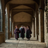 Тест: Какой вы персонаж из «Гарри Поттера»?