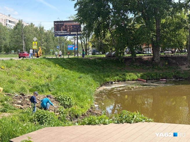 Но пруд пользуется популярностью серди детей | Источник: Дарья Ходосевич / YA62.RU
