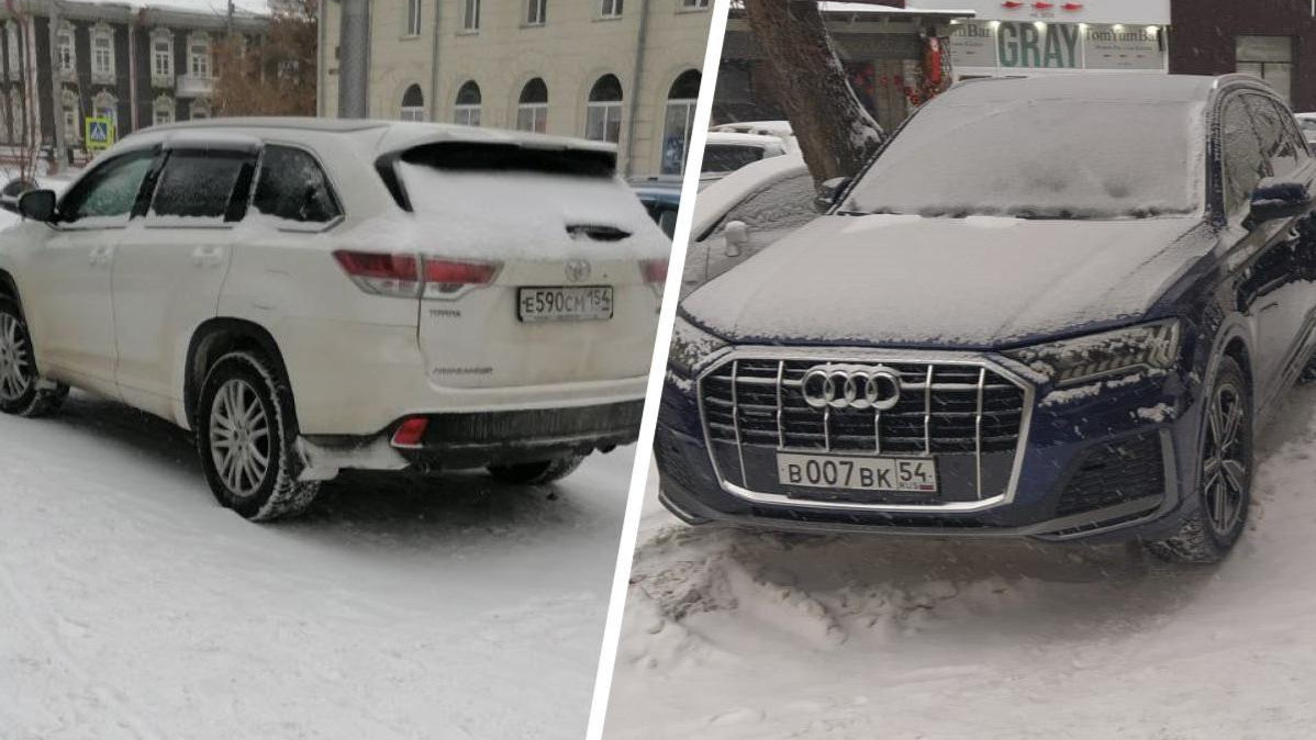 Агент 007 припарковал свою Audi между деревьев: какие еще способы нашли автохамы, чтобы позлить новосибирцев 