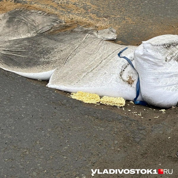 Источник: Елена Буйвол / VLADIVOSTOK1.RU