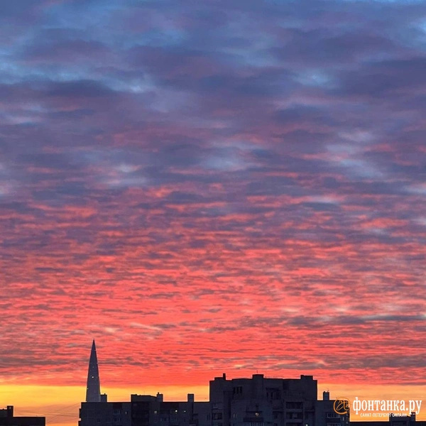 Источник: читатель «Фонтанки»