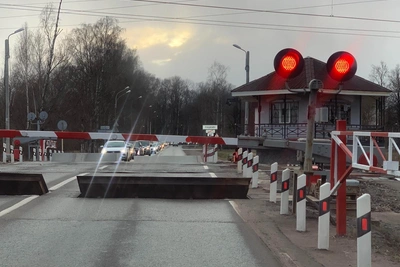 Смольный отреагировал на критику Тярлевского путепровода