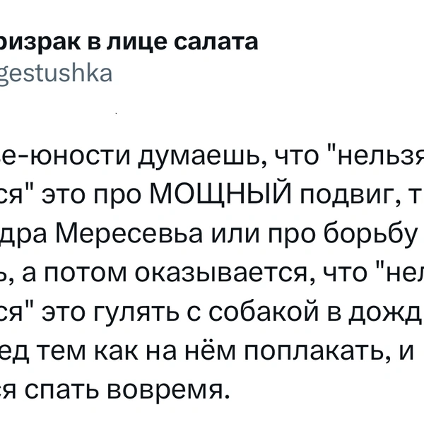 Источник: X (Twitter)