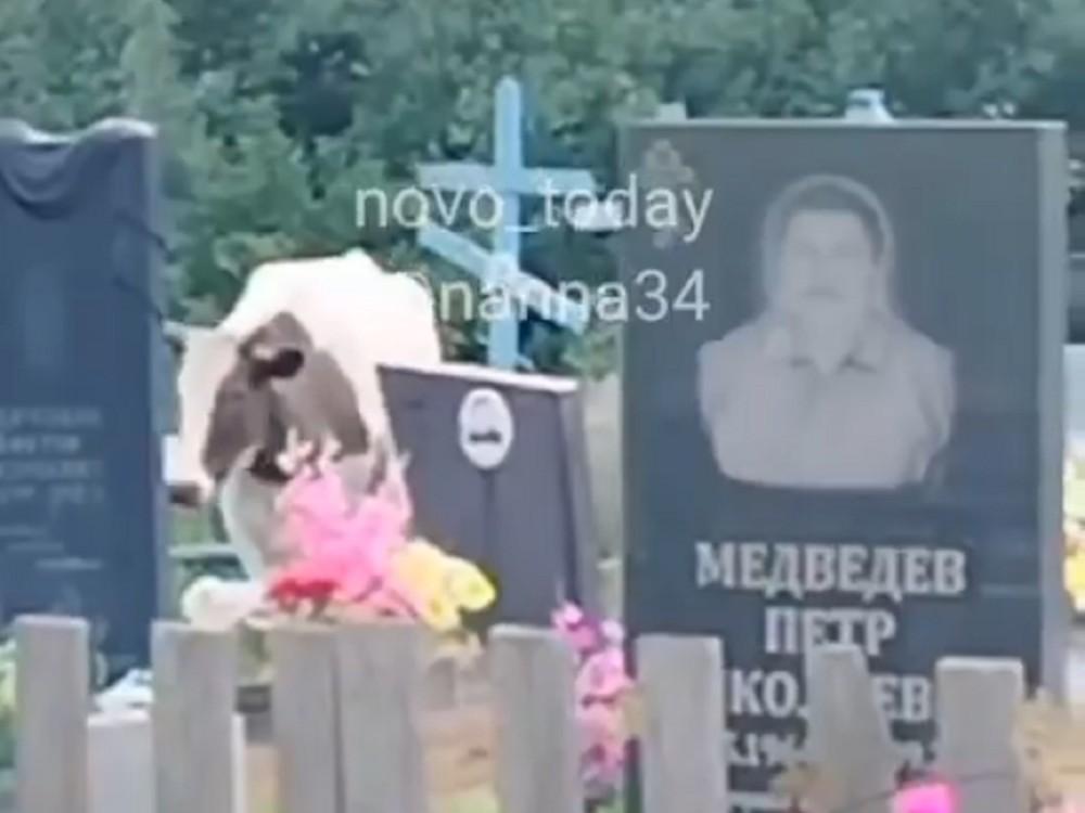 «Да у него там у самого сын молодой похоронен!» Многолетний конфликт между семьями перерос в скандал на кладбище под Волгоградом — видео