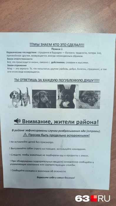 Самарцы хотят предупредить соседей об опасности и воззвать к совести злоумышленника | Источник: Инна Исханова-Бутова