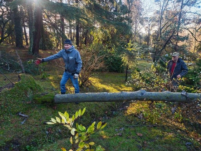 Всего было повалено около 50 деревьев | Источник: МЦУ Сочи