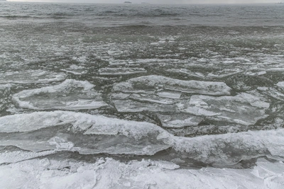 Женщина провалилась под лед в Воронеже