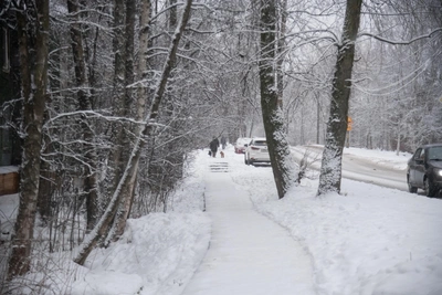 Прогноз погоды в Мурманской области на четверг