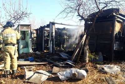 Пожар в Боградском районе потушили добровольцы