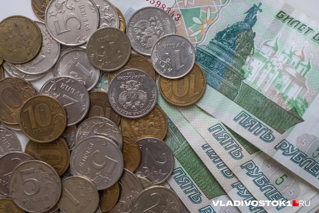 Государство борется с дефицитом бюджета | Источник: Елена Буйвол / VLADIVOSTOK1.RU