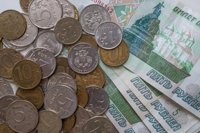 Бюджетники Рязанской области могут рассчитывать на увеличение зарплат | Источник: Елена Буйвол / VLADIVOSTOK1.RU