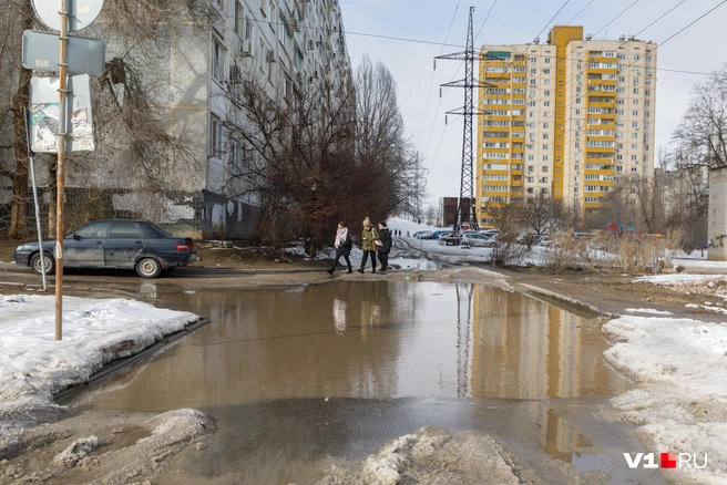 Синоптики обещают горожанам ночной минус и дневной плюс | Источник: Алексей Волхонский