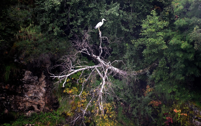 Источник: Евгений Епанчинцев