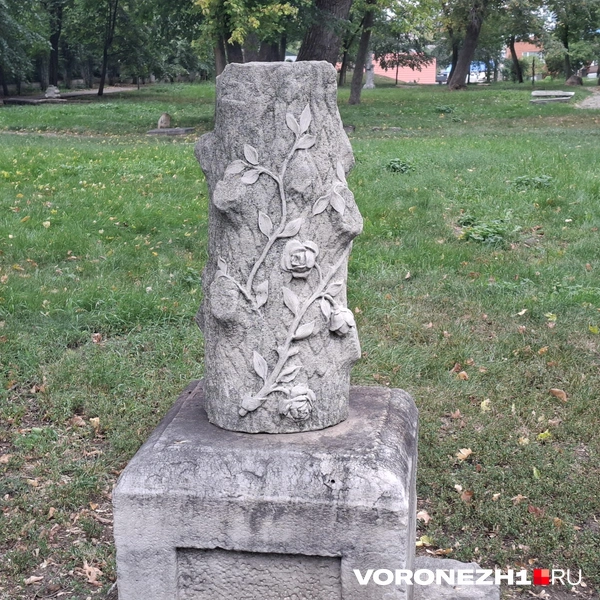 Источник: Алёна Воропаева / Voronezh1.ru