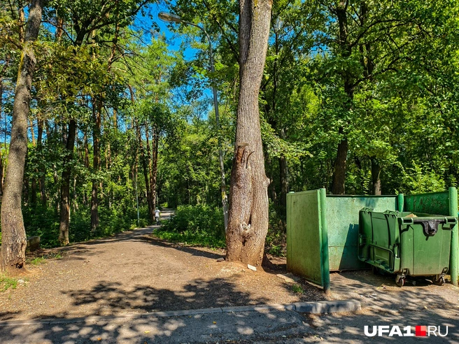 Вот он, начинается возле мусорных баков | Источник: Булат Салихов / UFA1.RU